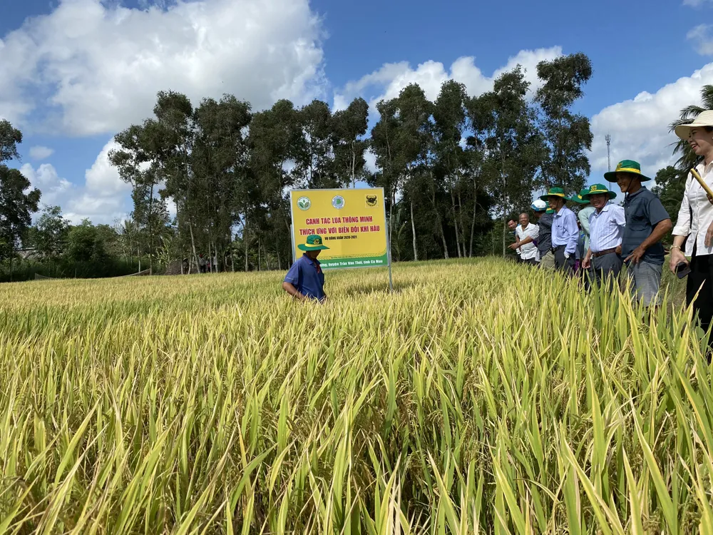 Ông Ngô Văn Đông (Tổng Giám đốc Công ty Cổ phần Phân bón Bình Điền): Quan trọng nhất là giúp bà con nông dân yên tâm sản xuất ảnh 1