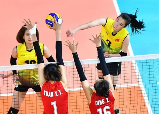 Bóng chuyền sẽ tổ chức Đại hội liên đoàn bán trực tuyến? ảnh 1
