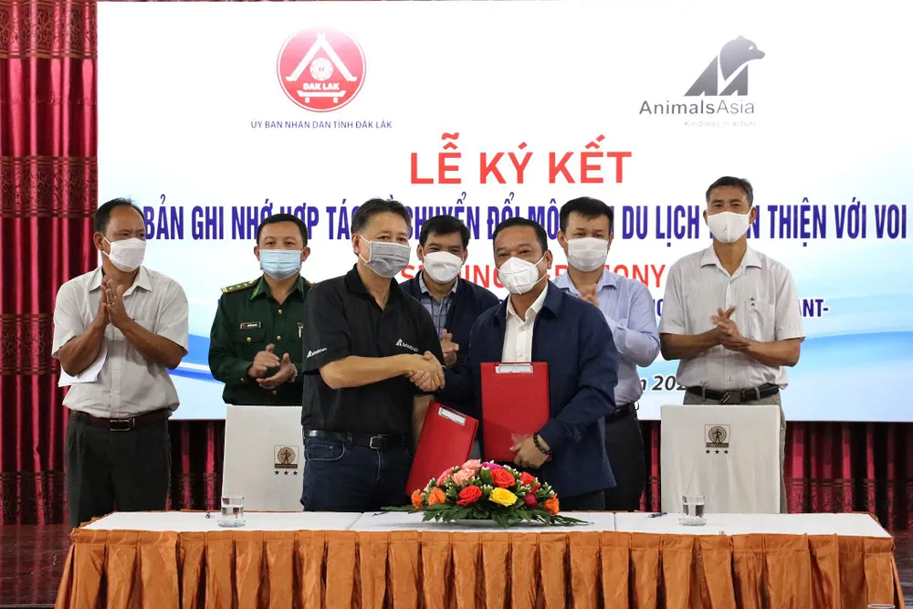 Đắk Lắk đi đầu trong mô hình du lịch thân thiện góp phần bảo tồn voi ảnh 1