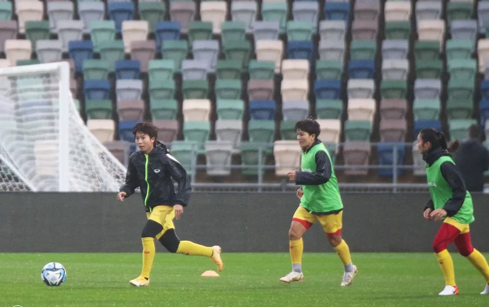 Cả hai trận tập huấn gặp New Zealand và Tây Ban Nha đều diễn ra trên sân McLean Park