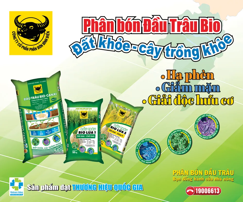 Hinh 4_250X300PX.jpg