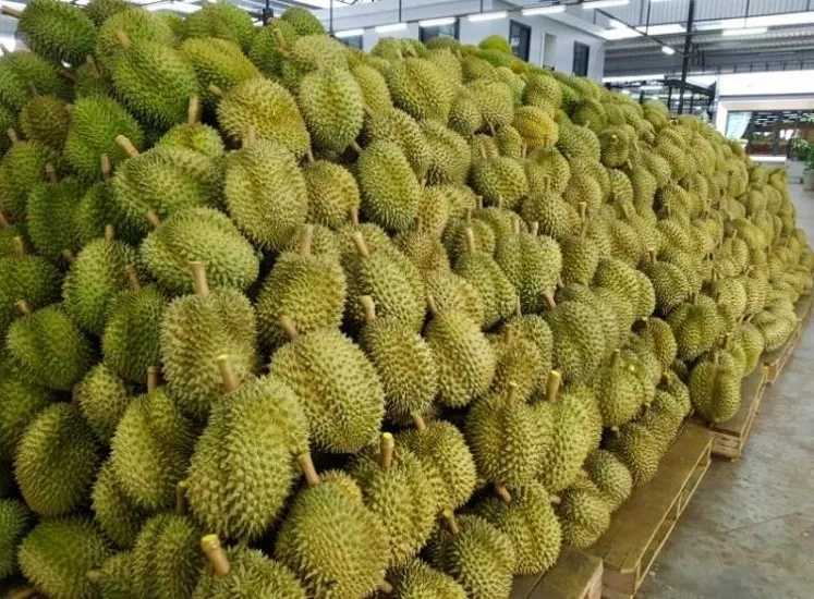 Vải thiều - hình mẫu tiêu thụ nông sản mùa dịch? ảnh 2