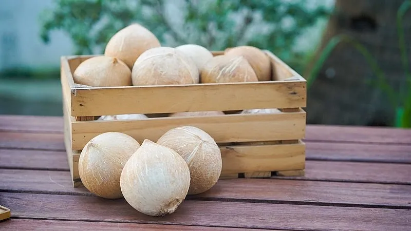 Việt Nam có thể xuất khẩu dừa sọ sang Mỹ ngay lập tức 