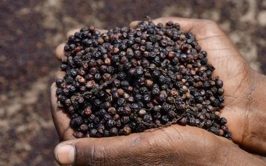 Tân Cảng Sài Gòn phản hồi nghi vấn 'rút ruột' hồ tiêu xuất khẩu