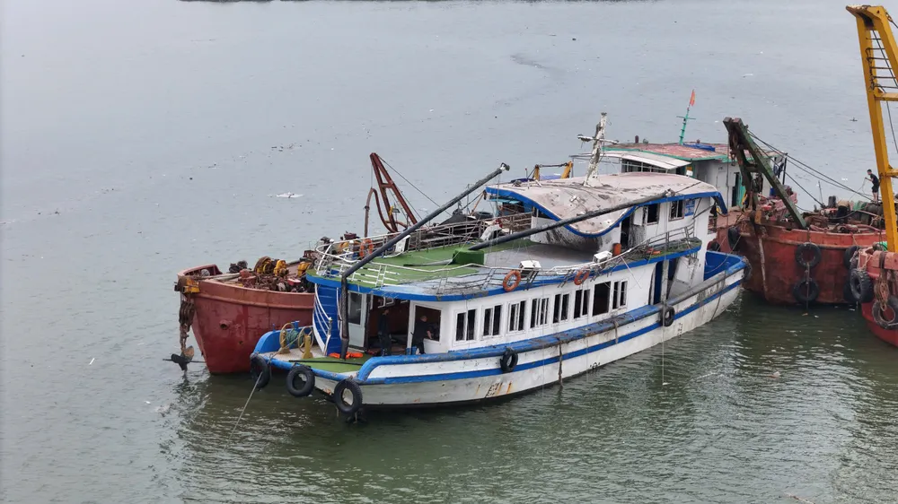 Bảo hiểm chi trả hơn 23 tỷ đồng vụ lật tàu Vịnh Xanh 58 