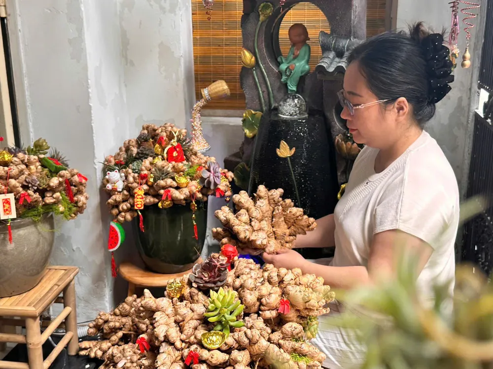 Chị Ánh Dương lựa từng ụ gừng để làm tháp gừng bonsai