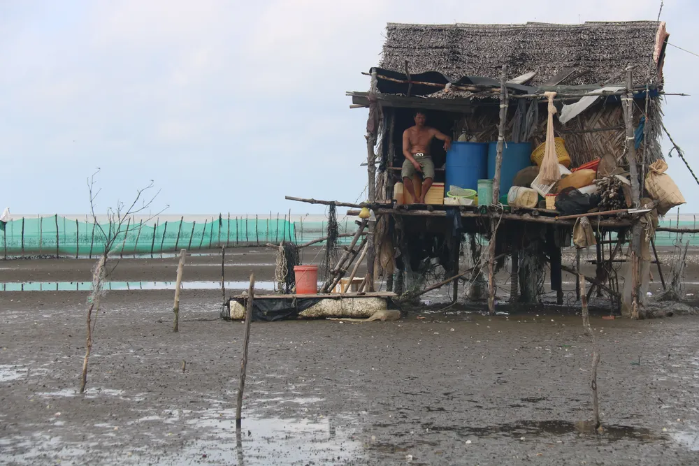 Chưa xác định được nguyên nhân hải sản chết hàng loạt ở Kiên Giang ảnh 1