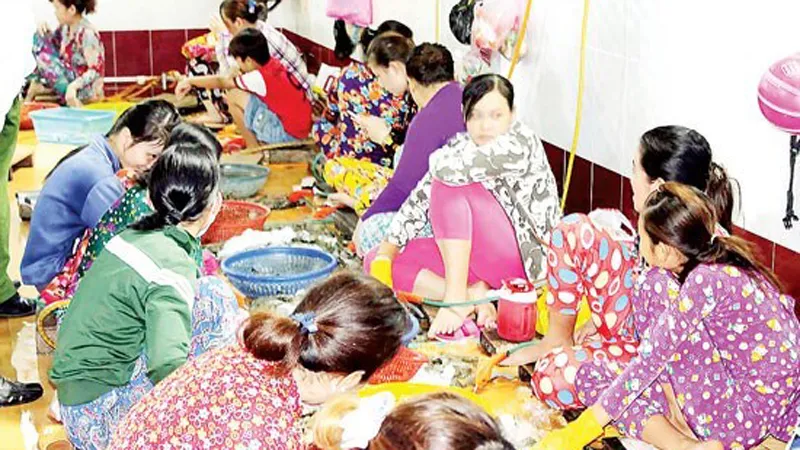 Một vụ đưa tạp chất vào tôm được cơ quan chức năng phát hiện xảy ra trên địa bàn Bạc Liêu