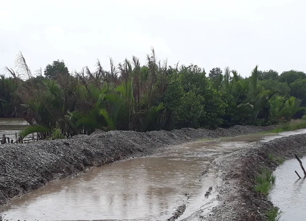 Đê bao chưa hết hạn bảo hành đã bị sụt lún ảnh 2