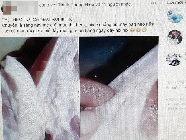 Công an mời người đăng tin “Thịt heo bệnh về tới Bạc Liêu” lên làm việc ảnh 1