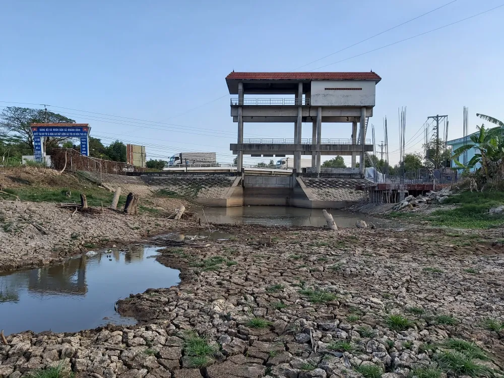 Kênh mương bên trong vùng ngọt hóa huyện Trần Văn Thời bị khô cạn do hạn hán