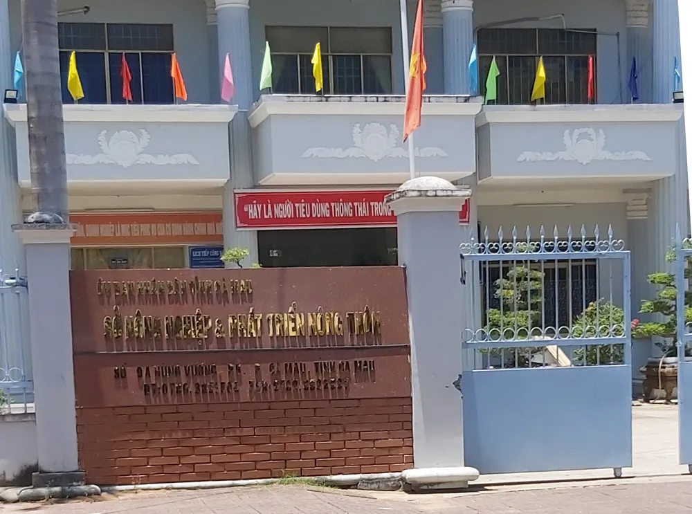 13 cán bộ ở Cà Mau phải làm việc ở nhà vì liên quan đến bệnh nhân 167 ảnh 1