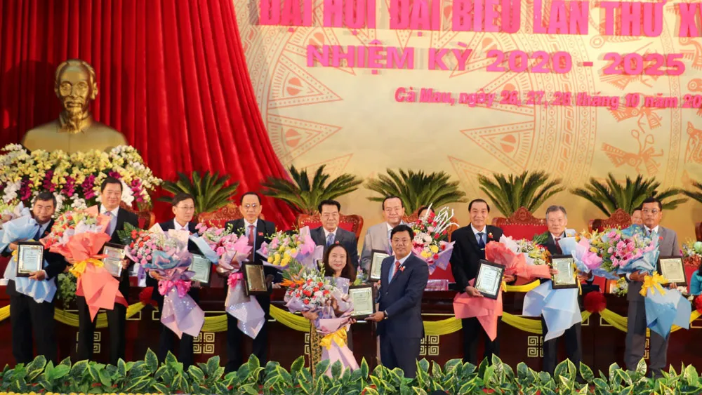 Cà Mau xác định ba khâu đột phá phát triển trong nhiệm kỳ mới ảnh 2