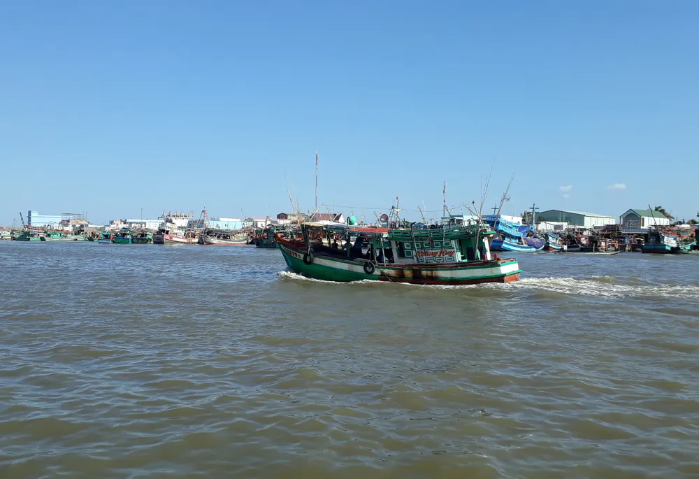 Cà Mau: Phát hiện 34 người nhập cảnh trái phép bằng đường biển ảnh 1