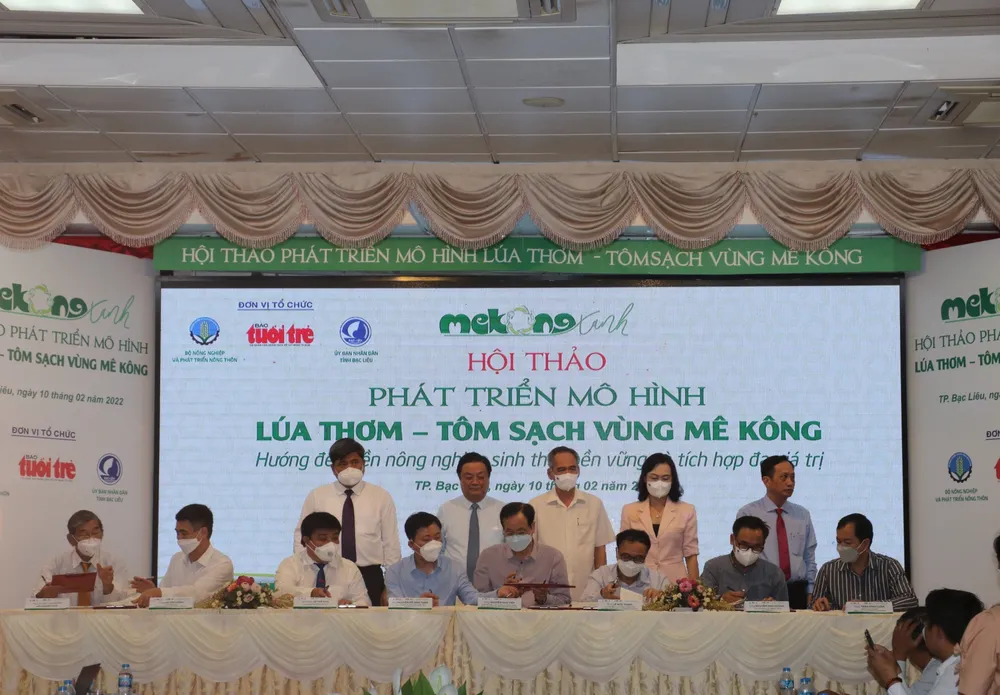 ĐBSCL nâng cao giá trị mô hình lúa - tôm  ảnh 2