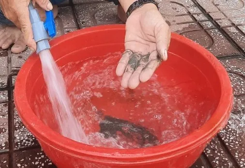 Người dân sống trong Khu đô thị mới Hoàng Tâm phản ánh nước sinh hoạt do chủ đầu tư cung cấp bị lẫn cát, bốc mùi khó chịu