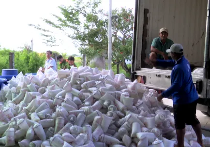 Bạc Liêu tiêu hủy hơn 2 triệu con tôm giống không có giấy chứng nhận kiểm dịch ảnh 1