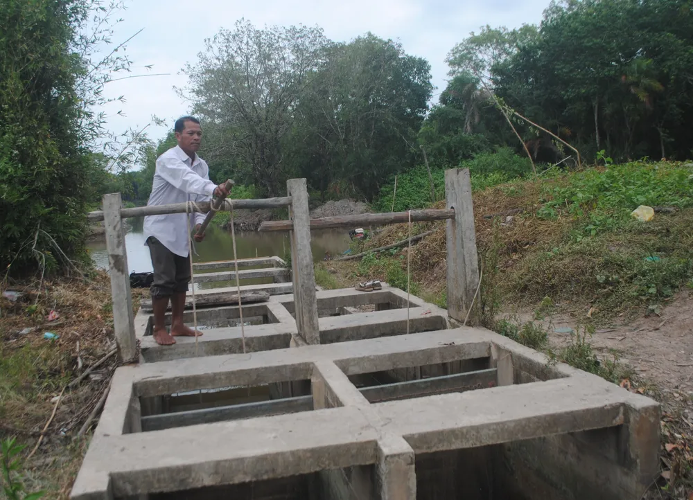 Sân chim Đầm Dơi biến thành vuông tôm trước khi bị cưỡng chế thu hồi