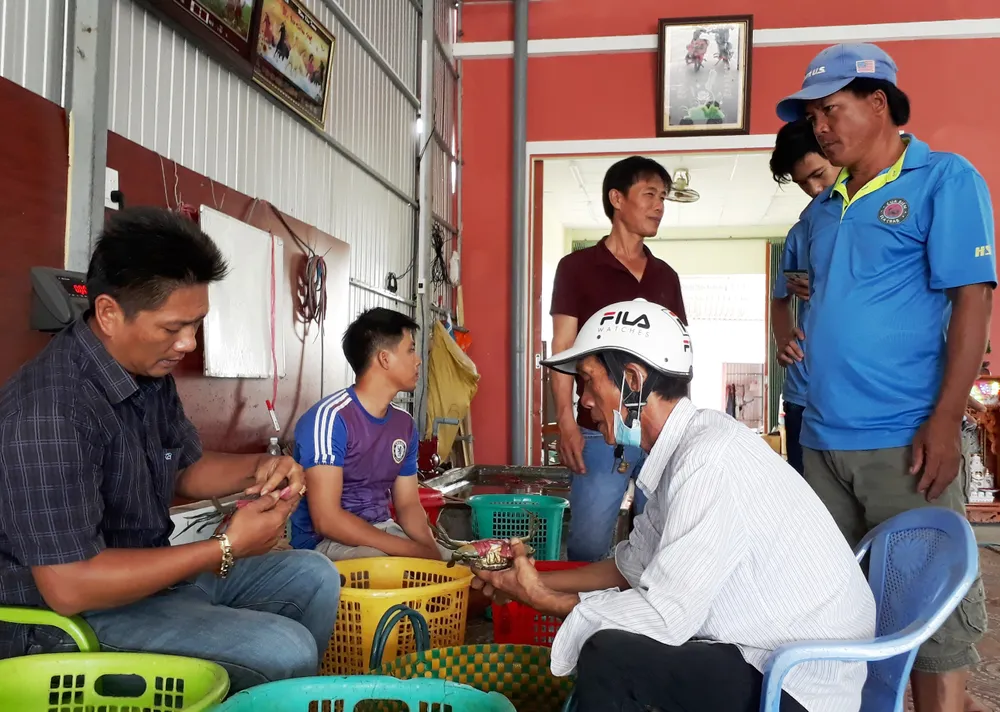 Cà Mau hướng đến xuất khẩu cua chính ngạch sang thị trường Trung Quốc