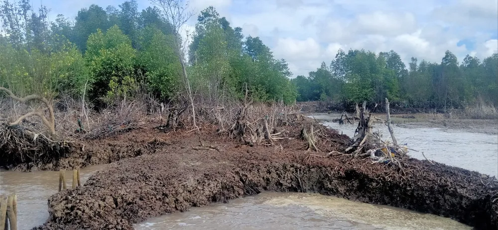 Bờ biển tỉnh Cà Mau bị sạt lở Bờ biển tỉnh Cà Mau bị sạt lở