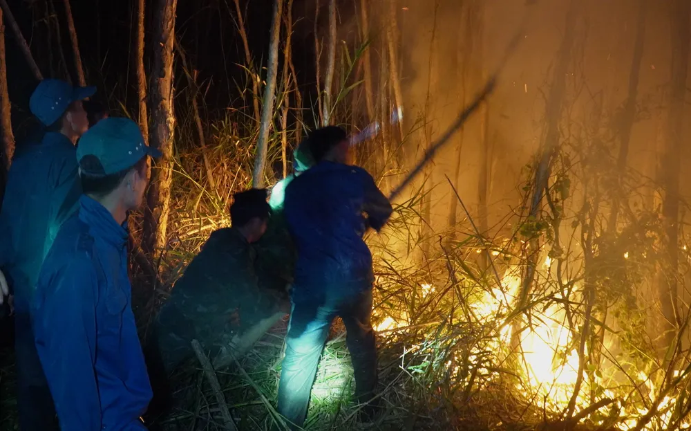 No luc dap lua 1.jpg