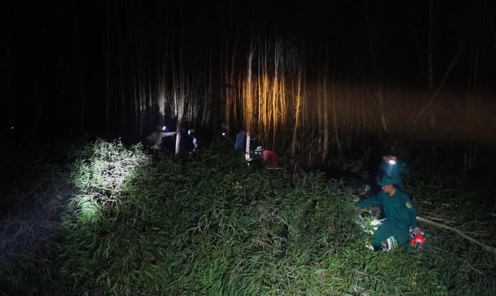 No luc dap lua 3.jpg