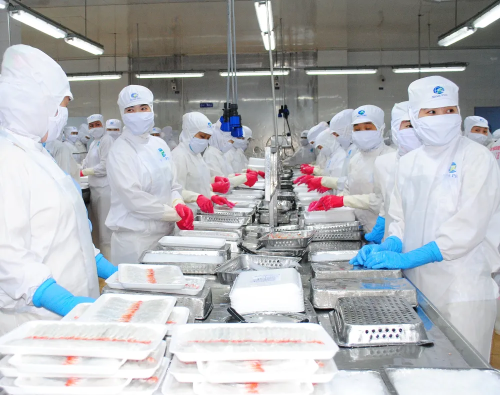 Che bien tom xuat khau minh phu.jpg