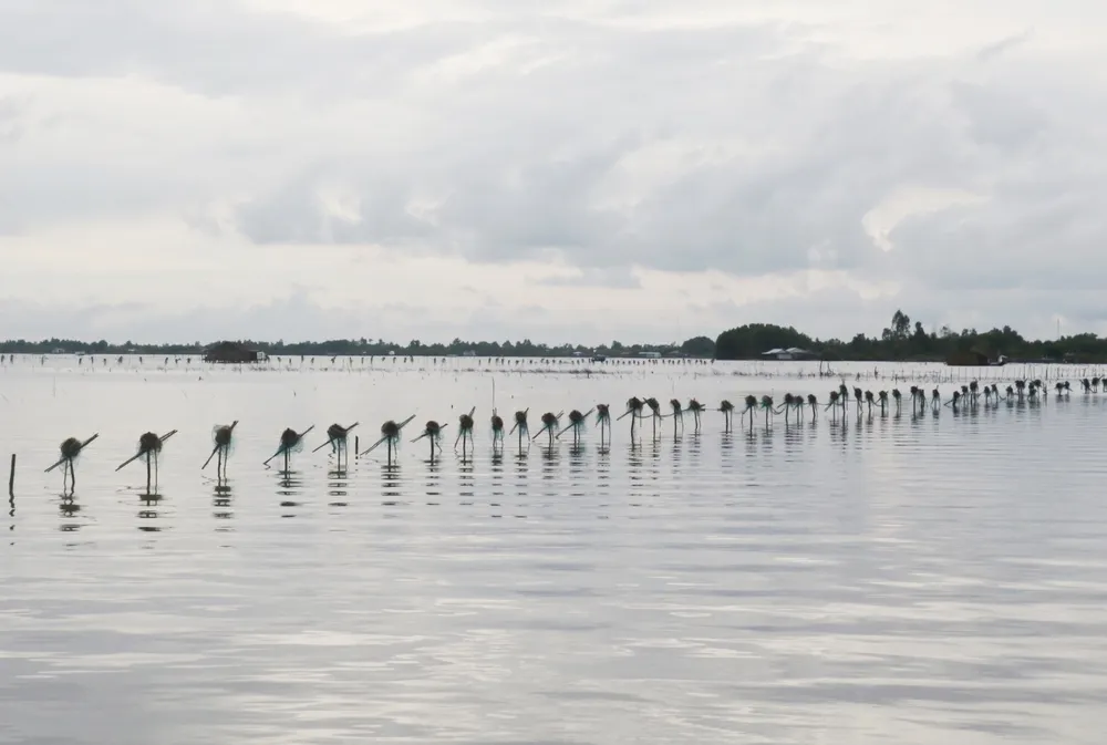 Dam Thi Tuong- Nghe lu 3.JPG
