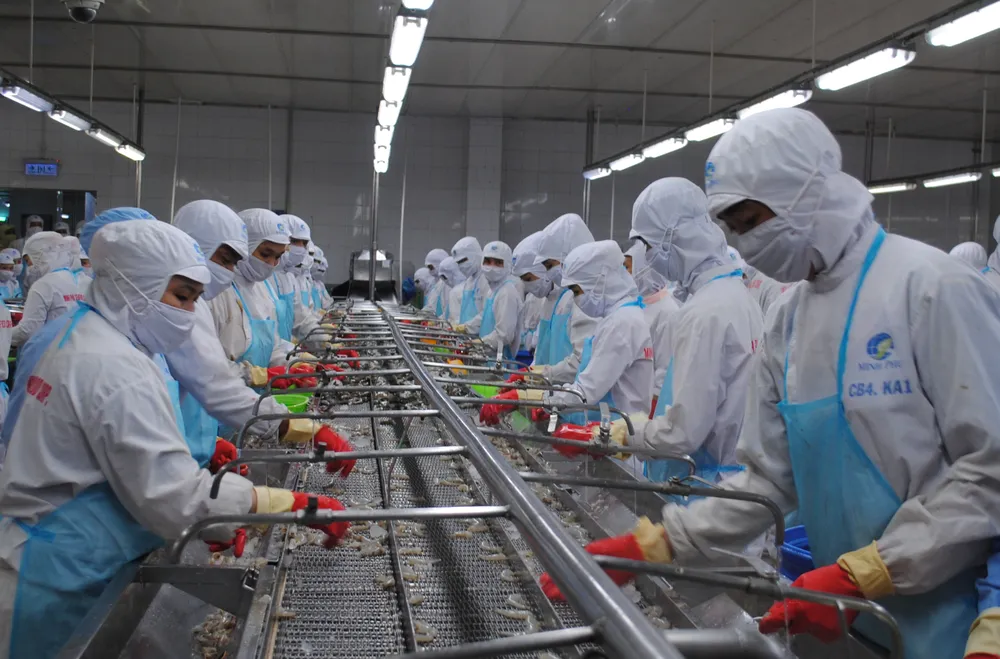 Che bien tom xuat khau cua Tap doan thuy san Minh Phu 2.jpg