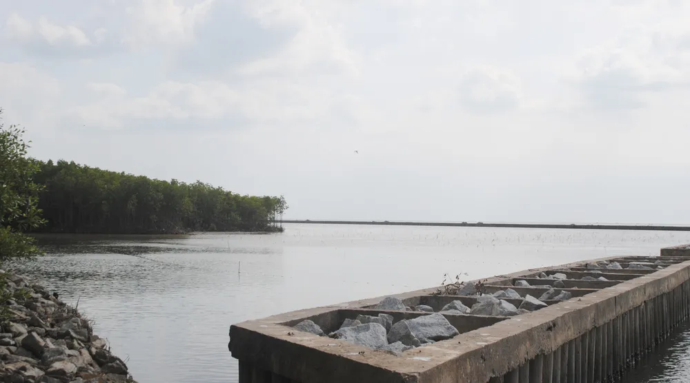 Làm kè ngầm tạo bãi kết hợp với khôi phục đai rừng phòng hộ bờ biển Tây tỉnh Cà Mau