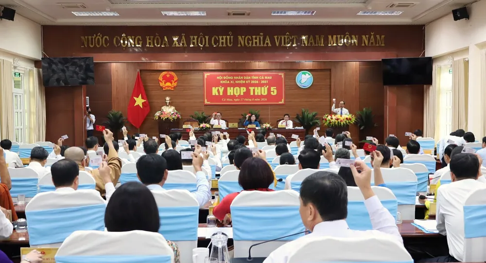 Cà Mau: Cấp miễn phí sách giáo khoa cho học sinh tiểu học từ năm học 2026 - 2027
