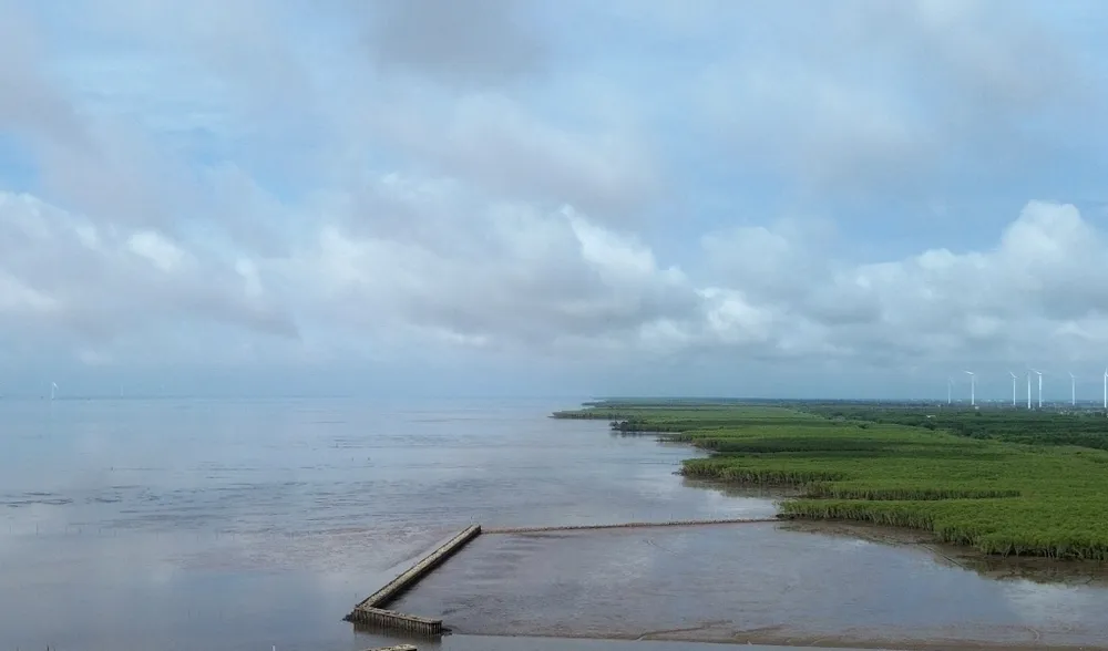 DJI_0514.jpg