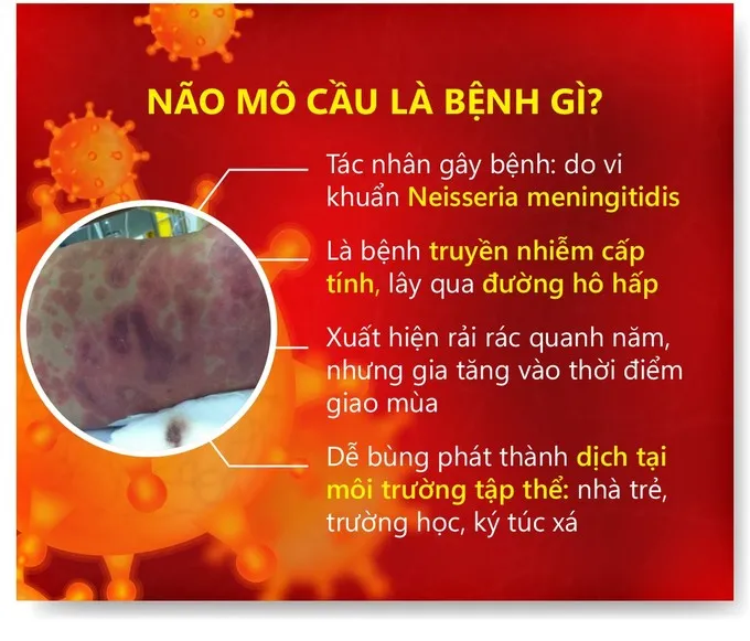 nao-mo-cau-1-1511-8156-2868-5008.jpg