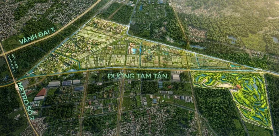 VH CẦN GIỜ.3.png