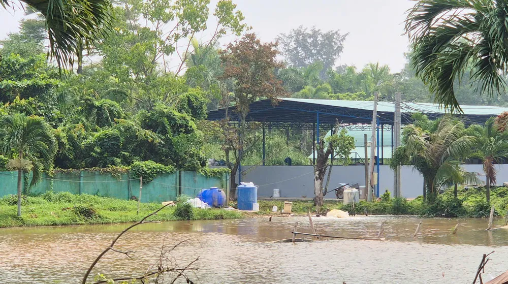 Một hồ chứa nước mặt để xử lý phục vụ nước sinh hoạt tại phường Sóc Trăng, TP Cần Thơ (ẢNH: TUẤN QUANG)