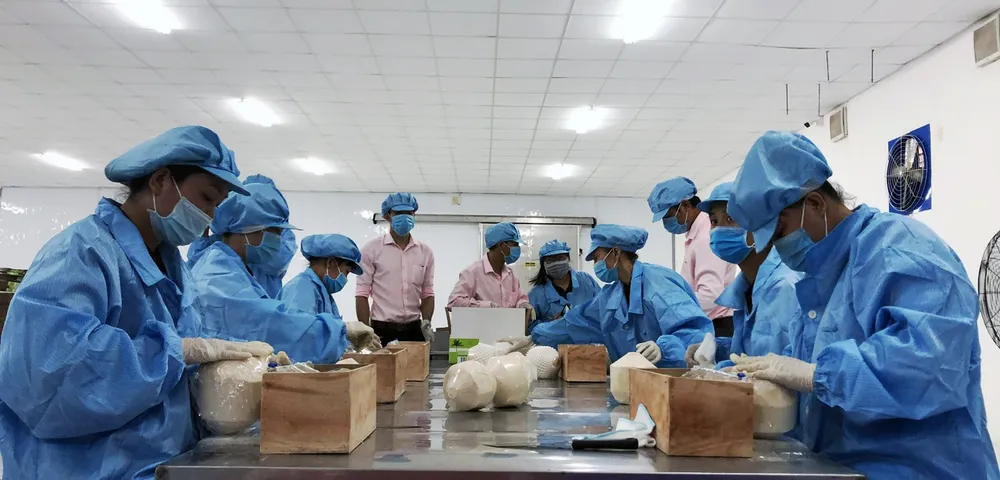 Ảnh 1- BEN TRE - TR 8.jpg