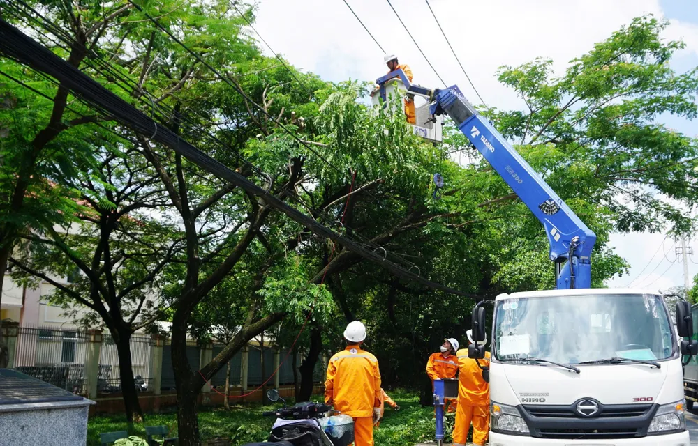 Nhân viên ngành điện TPHCM xử lý mé nhánh cây xanh để đảm bảo an toàn điện trong mùa mưa, bão