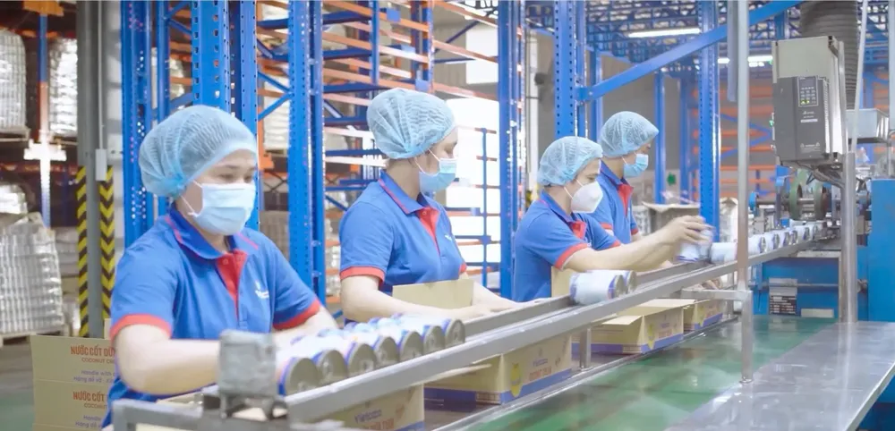 Sản xuất các sản phẩm từ dừa của Công ty TNHH chế biến dừa Lương Quới