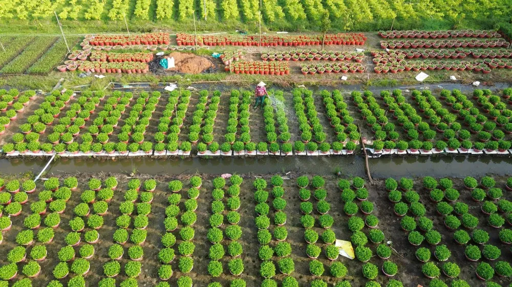 Diện mạo nông thôn ở Bến Tre được thay đổi từng ngày, với nhiều mô hình kinh tế giúp người dân thoát nghèo bền vững Ảnh: CTV