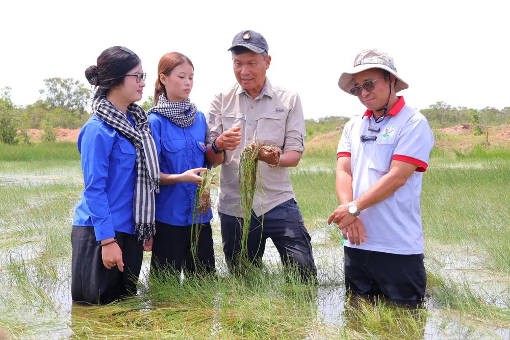 TS Trần Triết (thứ ba, từ trái qua) kiểm tra thực địa sự phục hồi của quần xã năng kim tại Vườn Quốc gia Tràm Chim