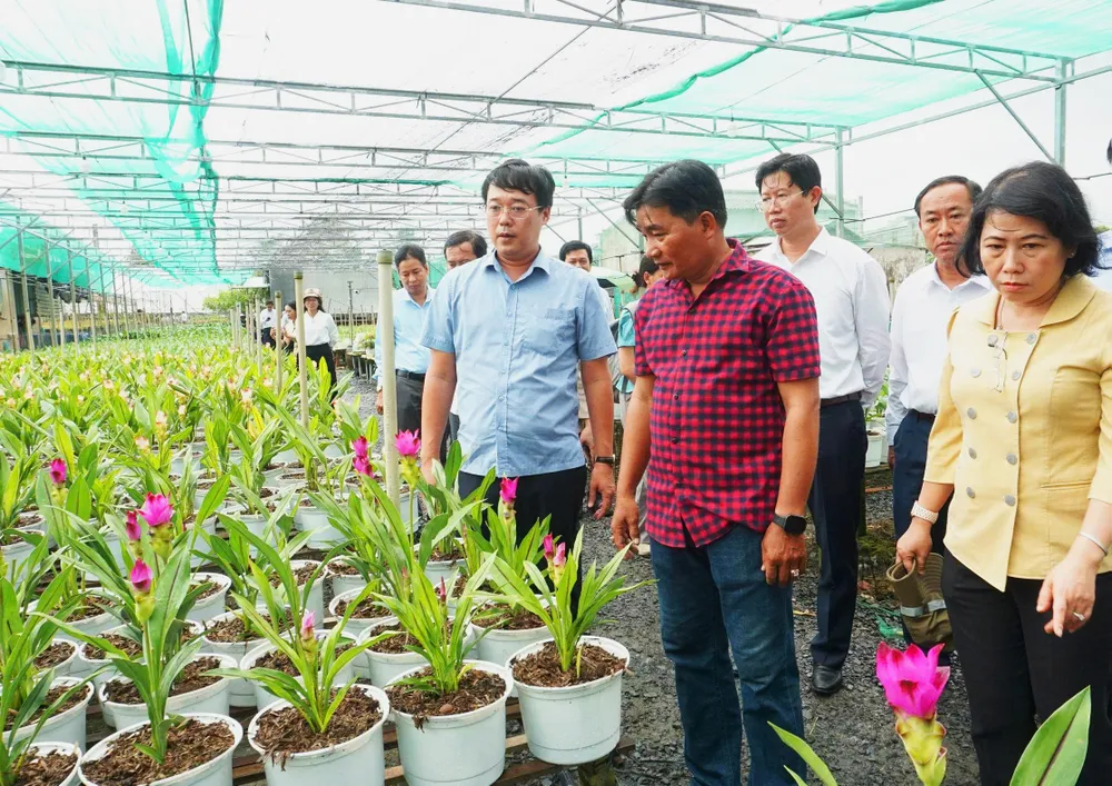 Bí thư Tỉnh ủy Đồng Tháp Lê Quốc Phong (bìa trái) trực tiếp kiểm tra, thăm hỏi bà con làng hoa Sa Đéc