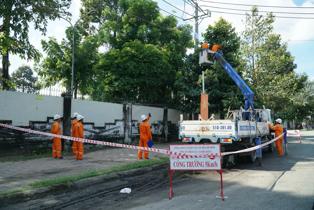 Công nhân ngành điện TPHCM tỉa nhánh cây để đảm bảo an toàn lưới điện mùa mưa bão