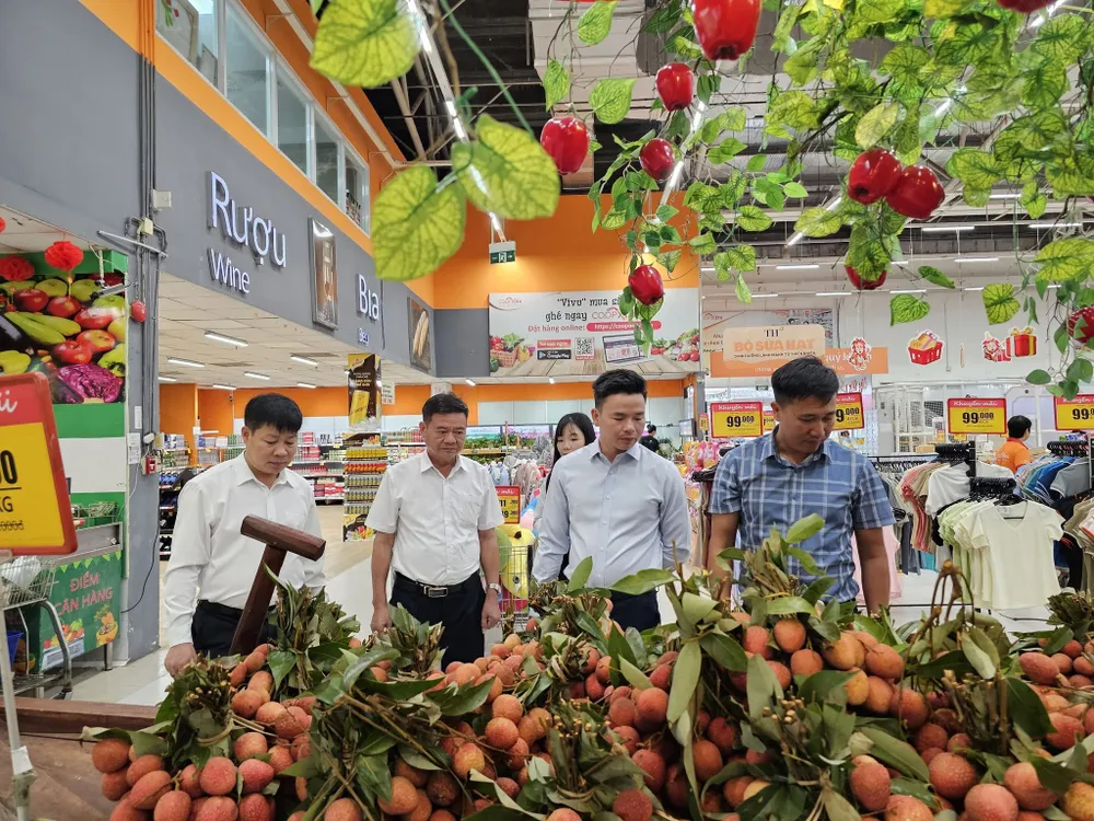 Vải thiều Lục Ngạn được tiêu thụ tại hệ thống siêu thị Saigon Co.op