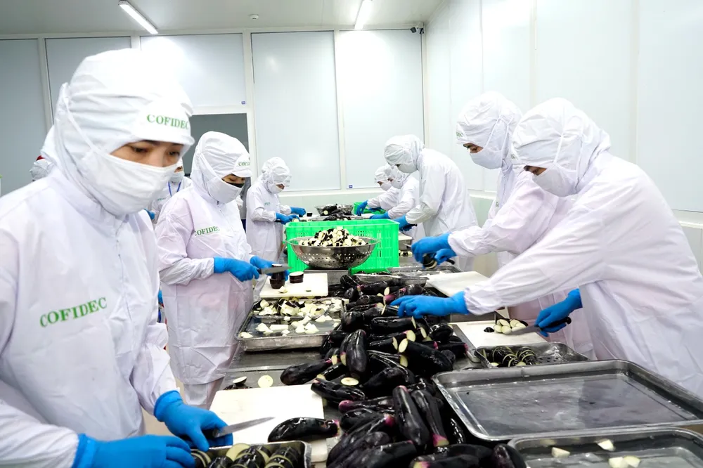 Nguồn nguyên liệu và quy trình sản xuất tại Công ty Phát triển kinh tế Duyên Hải được kiểm soát nghiêm ngặt (ẢNH: PHÚC AN)