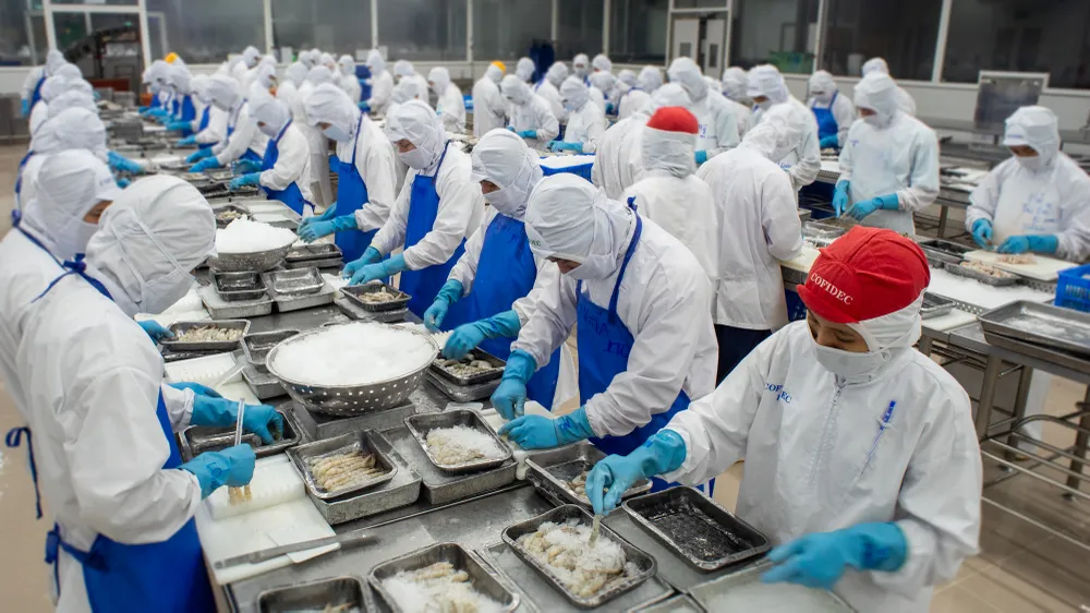 COFIDEC đầu tư công nghệ, phát triển sản phẩm mới để mở rộng thị trường. Ảnh: SATRA