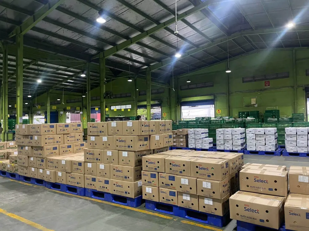 Trung tâm phân phối của Saigon Co.op (MINH ANH) 