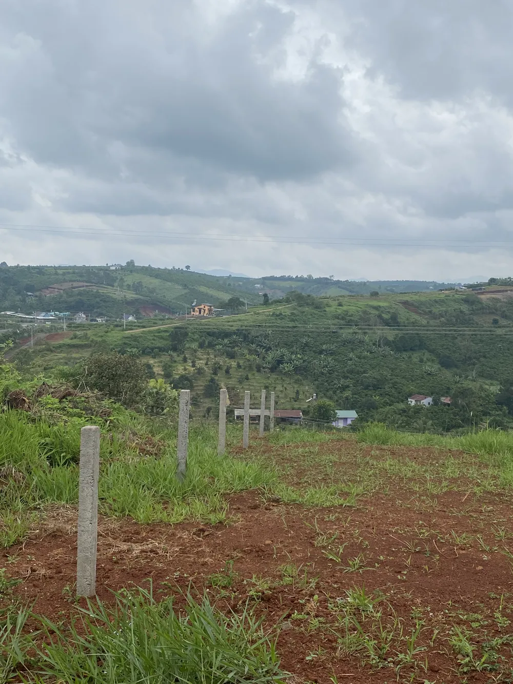 Sang đất Bảo Lộc – Lâm Đồng ảnh 2