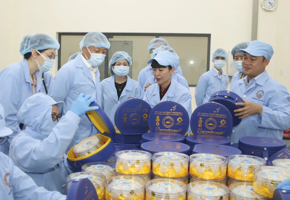 Cơ quan truyền thông và doanh nghiệp Trung Quốc thăm, làm việc với Công ty Sanvinest Khánh Hòa