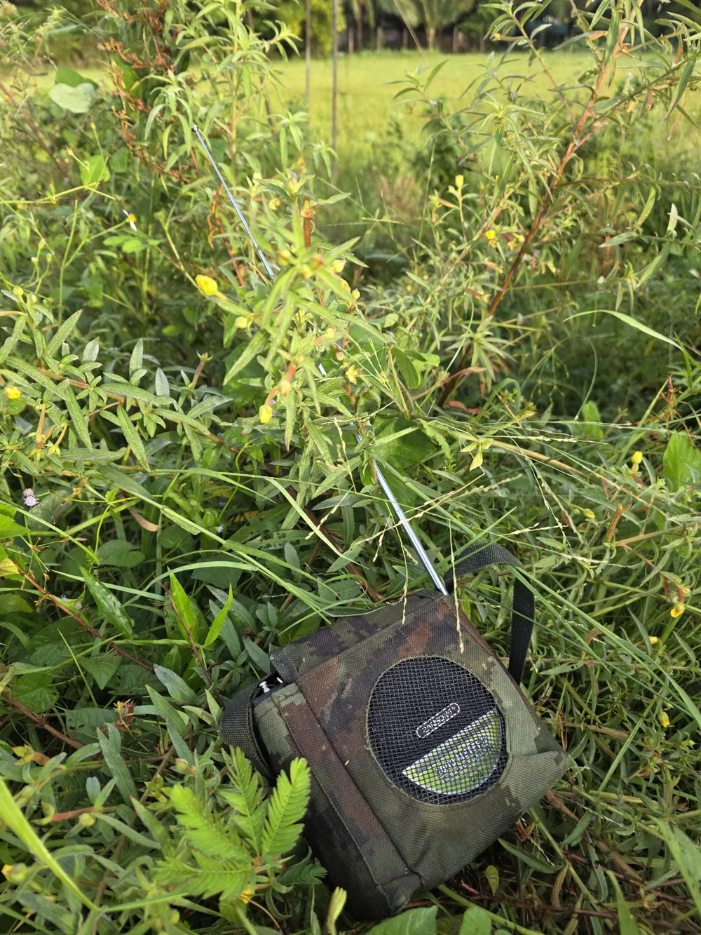 ST - THIẾT BỊ DÙNG ĐỂ PHÁT RA ÂM THANH DẪN DỤ CHIM YẾN.jpg