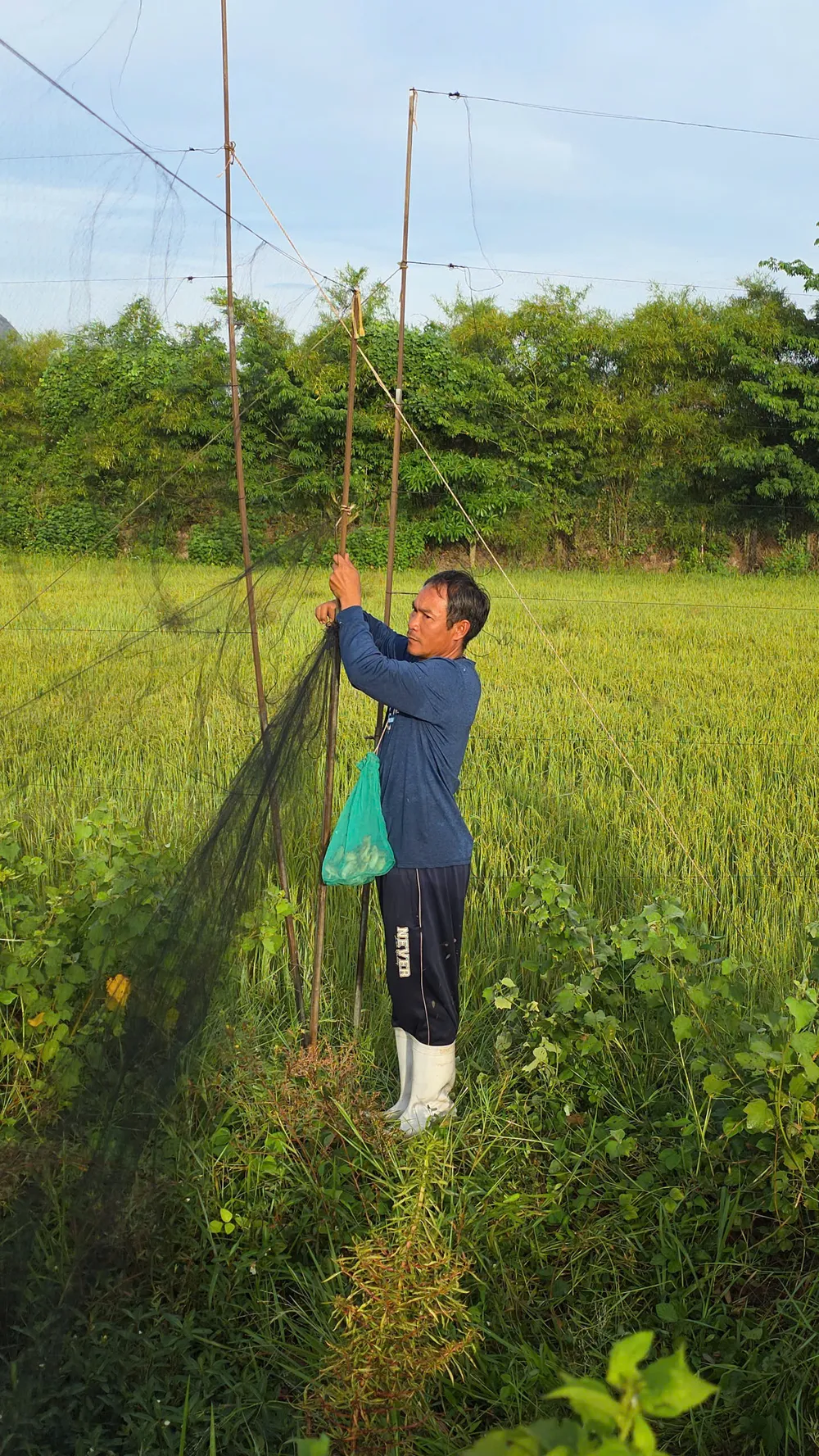 THÁO GỠ LƯỚI TÀNG HÌNH TẠI XÃ SUỐI HIỆP (KHU VỰC XÃ SUỐI TIÊN CŨ).jpg